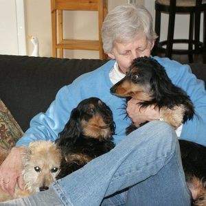 Meet your Posher, Sandy